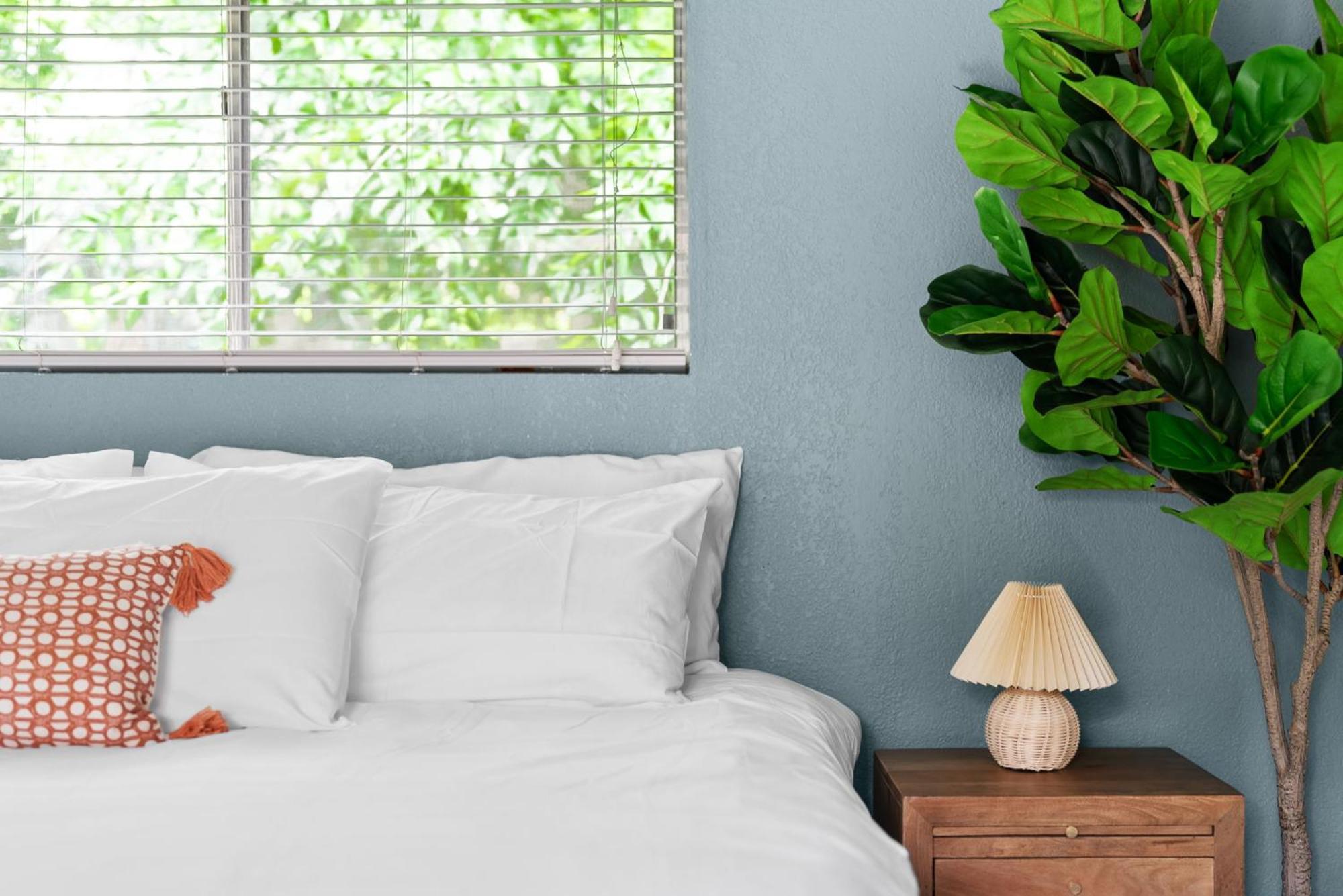 Mai's Home at Zilker, Barton Spring and Downtown Sleep 14 Austin Bagian luar foto
