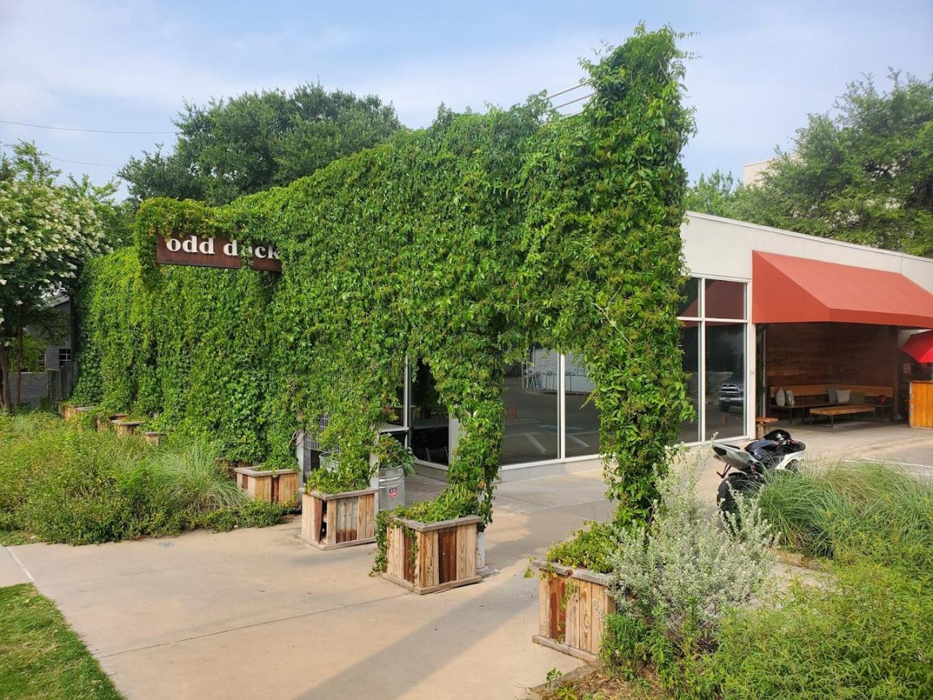 Mai's Home at Zilker, Barton Spring and Downtown Sleep 14 Austin Bagian luar foto